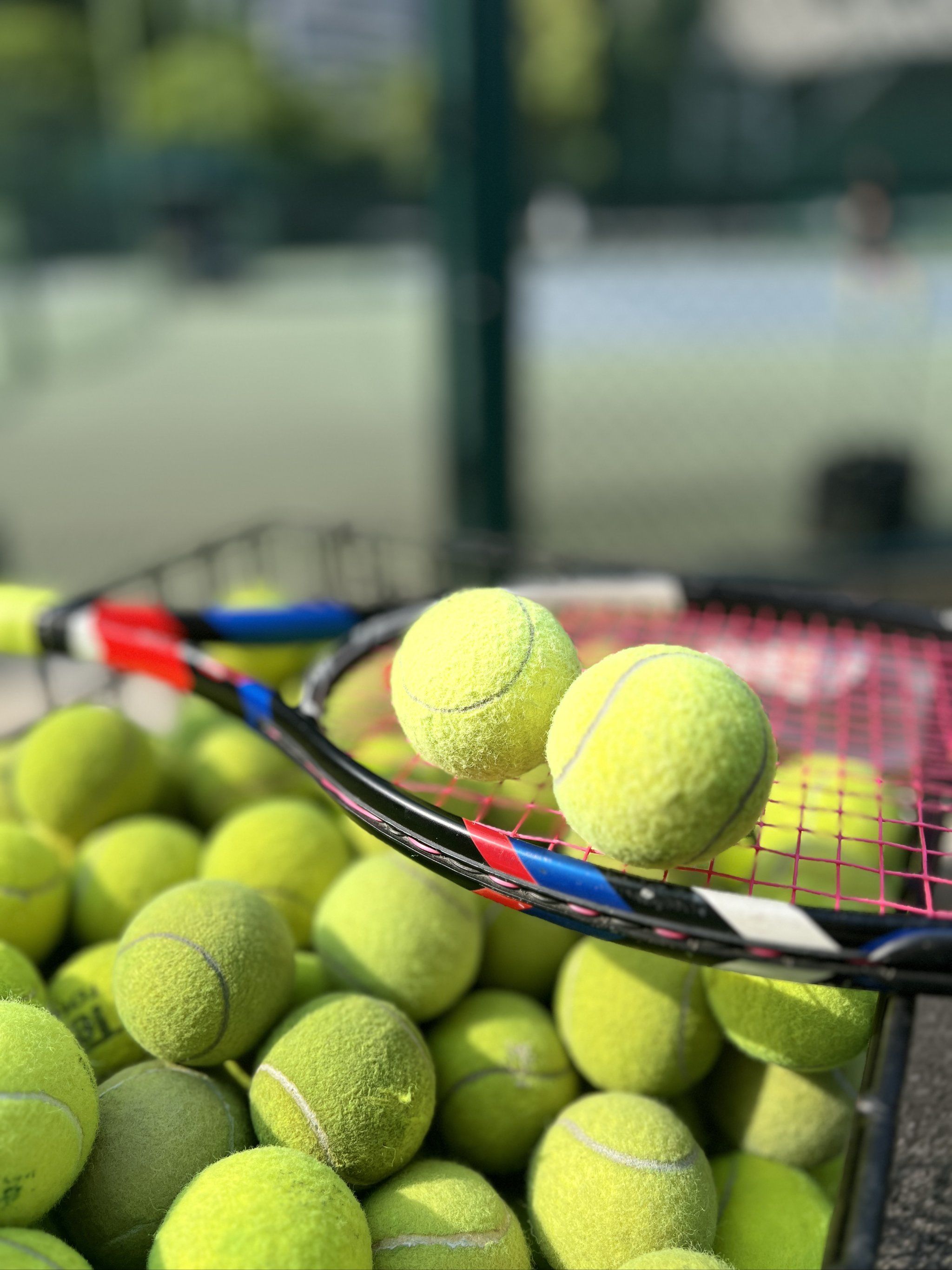 耳曼长期统 耳曼长期统